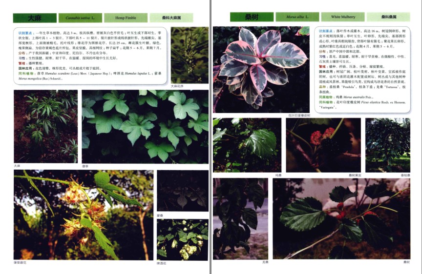 QQ截图20230809070103.png