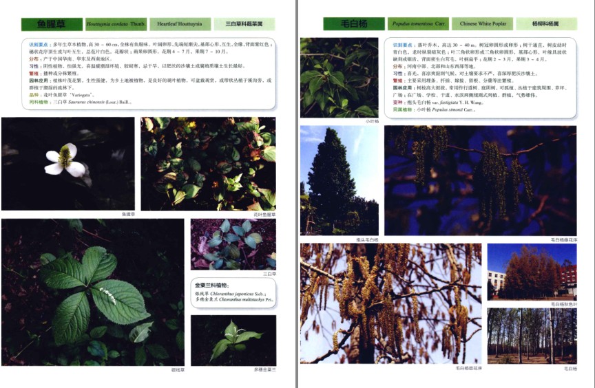 QQ截图20230809070048.png