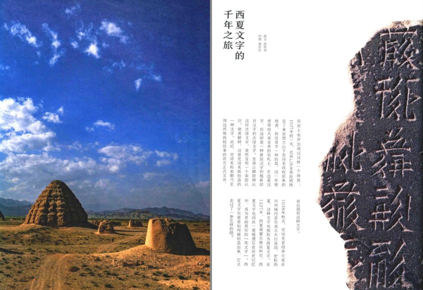 QQ截图20230803073911.png