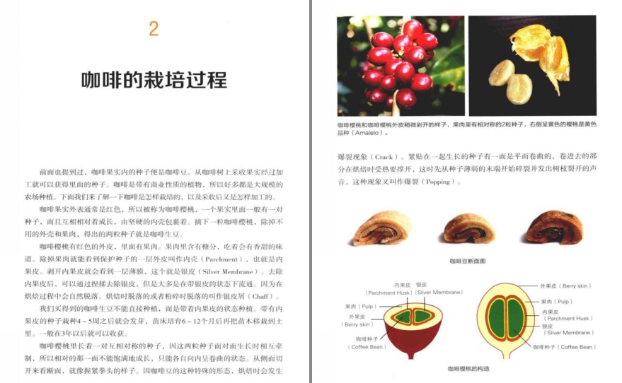 QQ截图20230701063500.png
