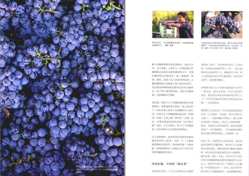 QQ截图20230803074011.png
