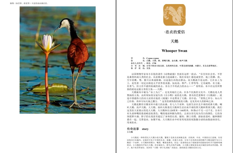 QQ截图20230913203126.png