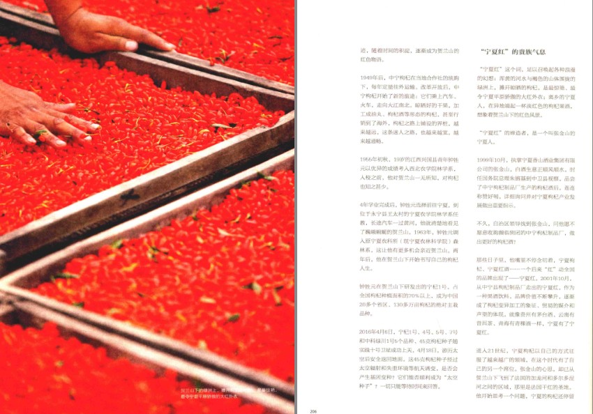 QQ截图20230803074029.png