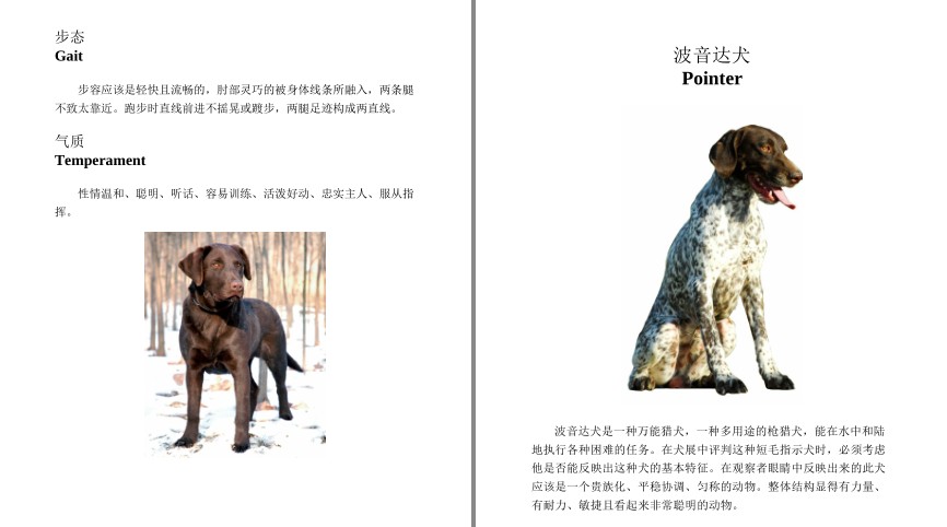 QQ截图20230729072323.png