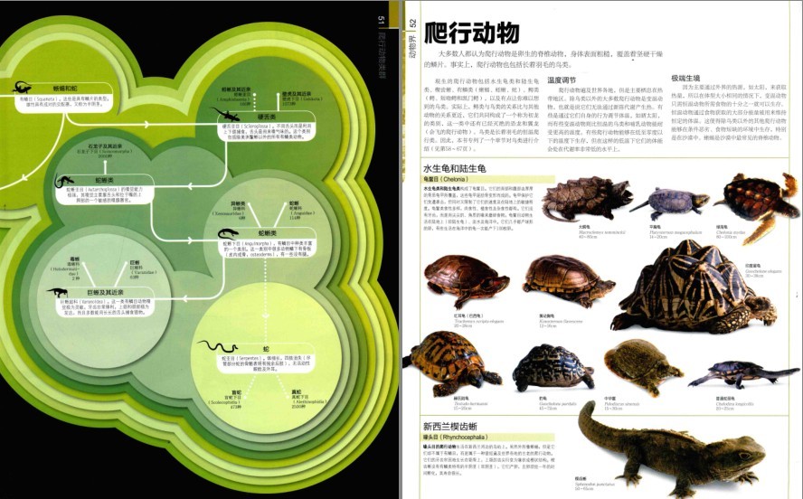 QQ截图20230624084935.png