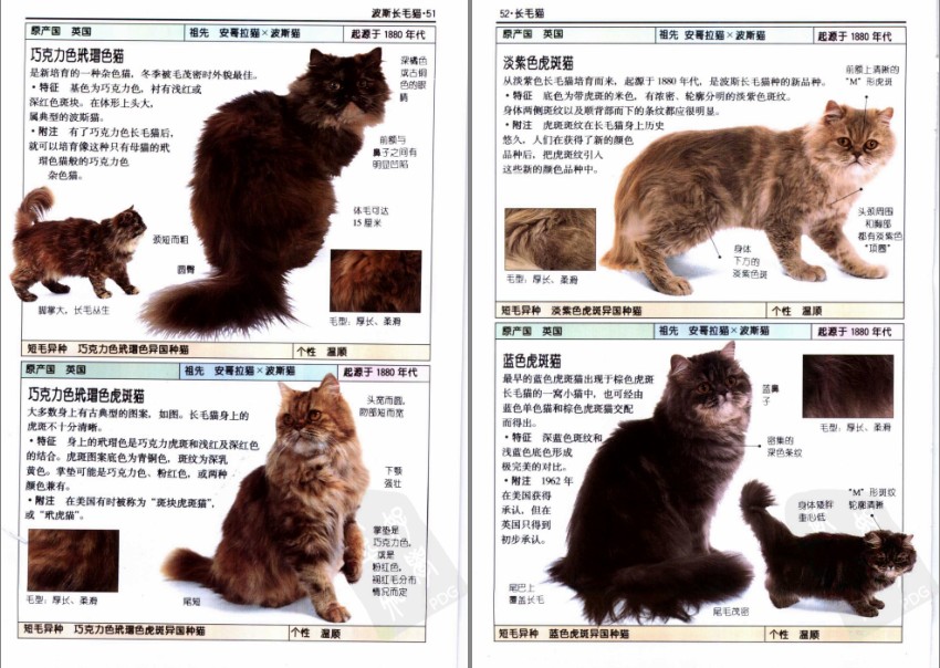 QQ截图20230722151800.png