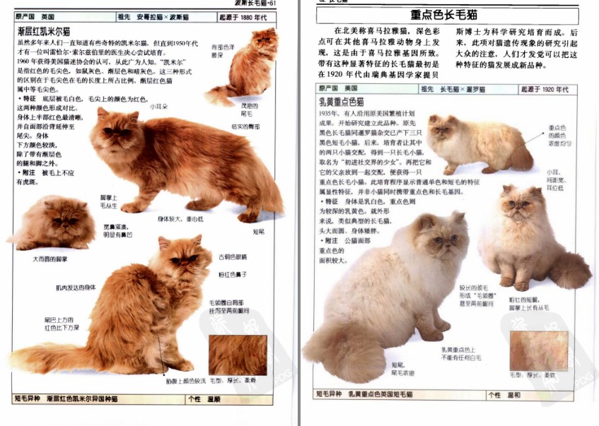 QQ截图20230722151809.png