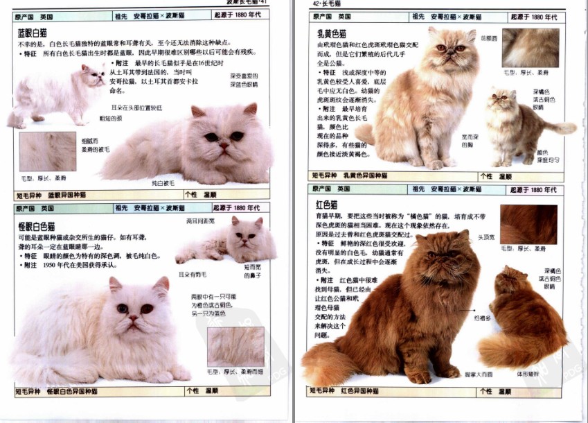 QQ截图20230722151742.png
