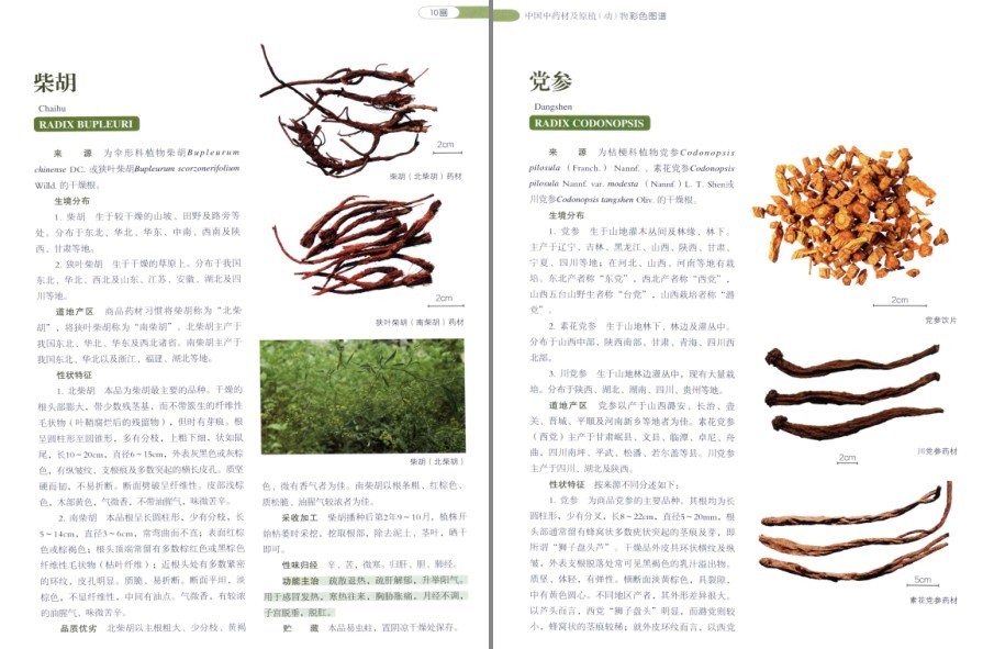 QQ截图20220930081600.png