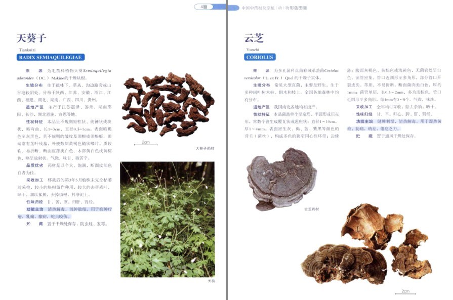 QQ截图20220930081122.png