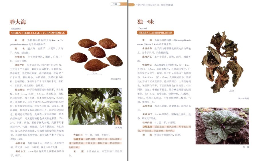QQ截图20220930081547.png