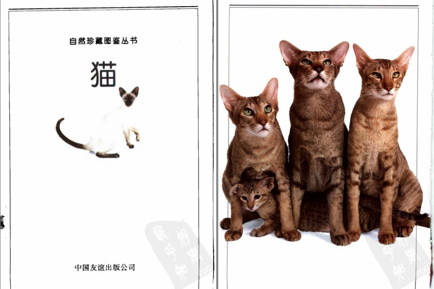 QQ截图20230722151716.png