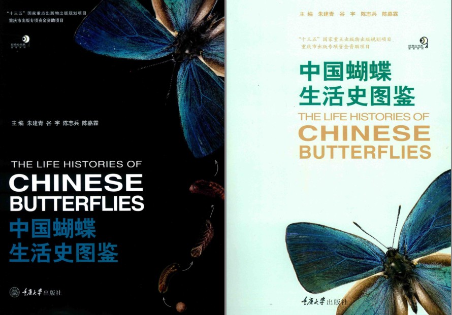 QQ截图20231005213526.png