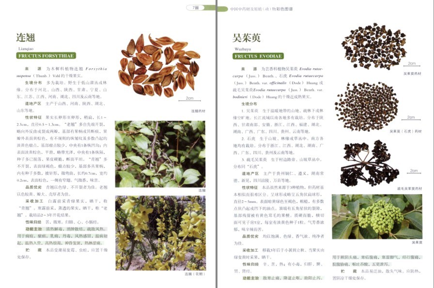QQ截图20220930081421.png