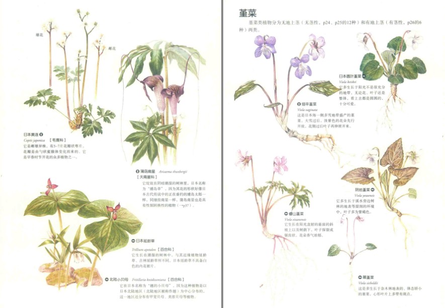 QQ截图20230626083214.png