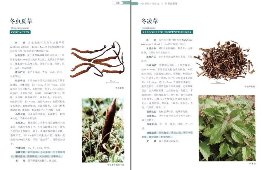 QQ截图20220930081258.png