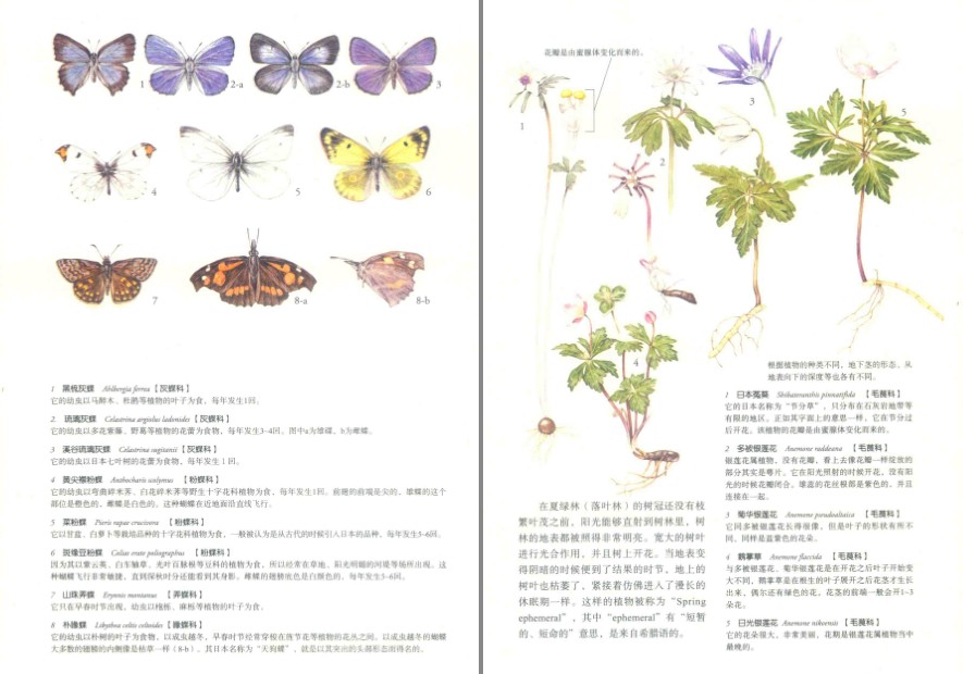 QQ截图20230626083205.png