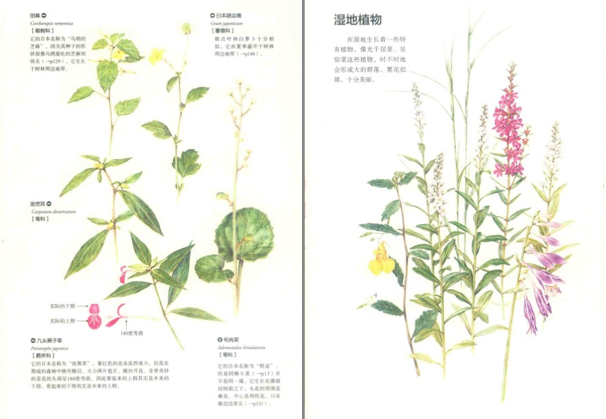 QQ截图20230626083301.png