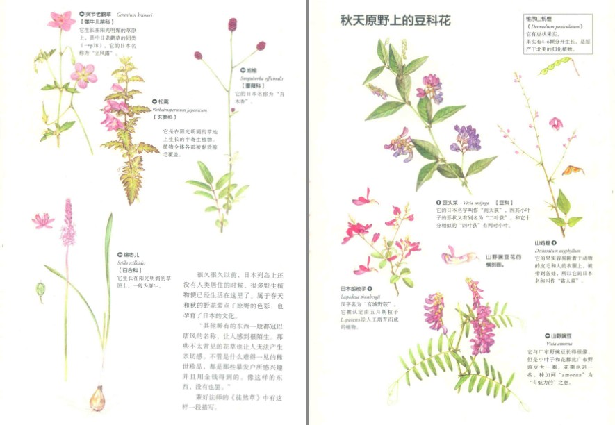QQ截图20230626083318.png