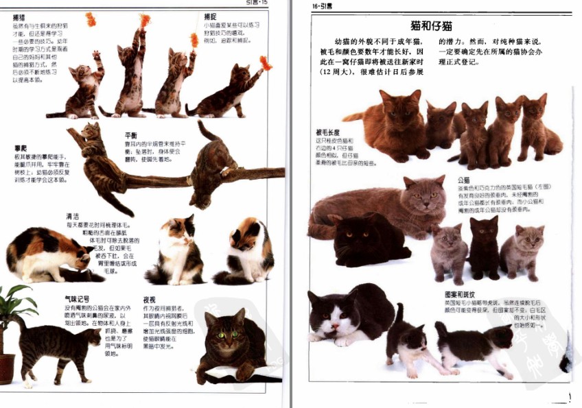 QQ截图20230722151727.png