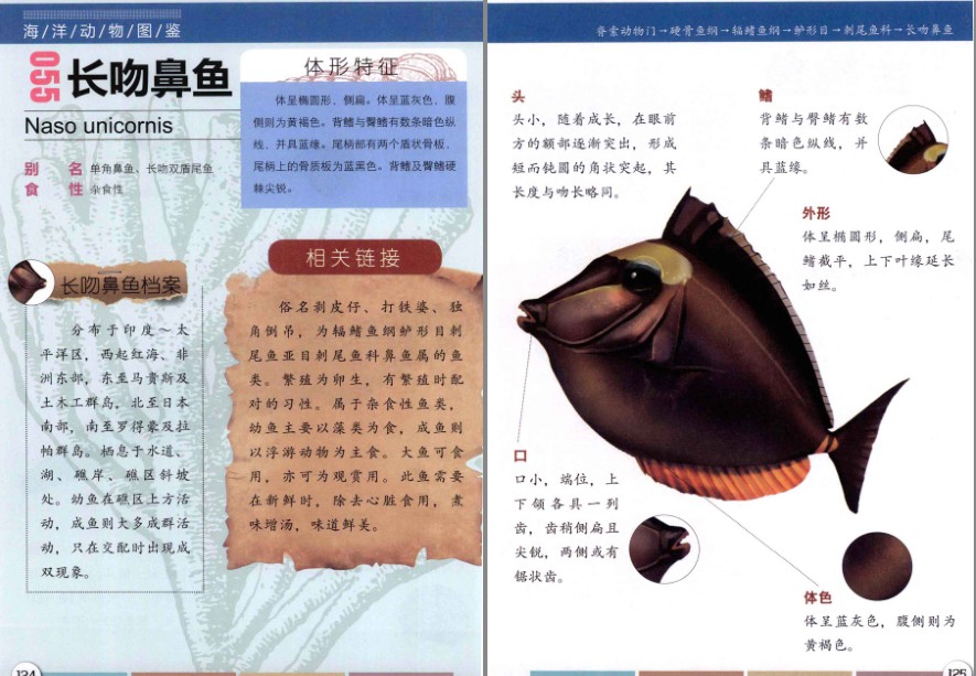 QQ截图20230730153522.png