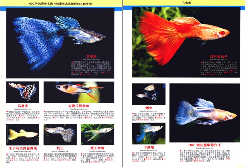 QQ截图20230725084736.png