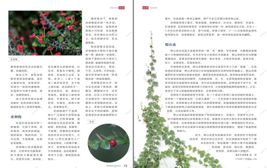 QQ截图20231124143139.png
