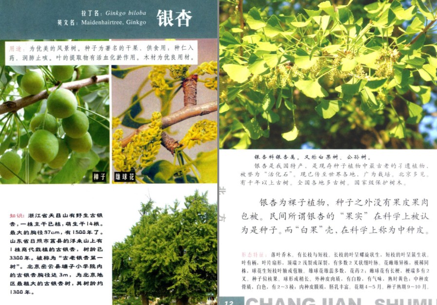 QQ截图20230704160631.png