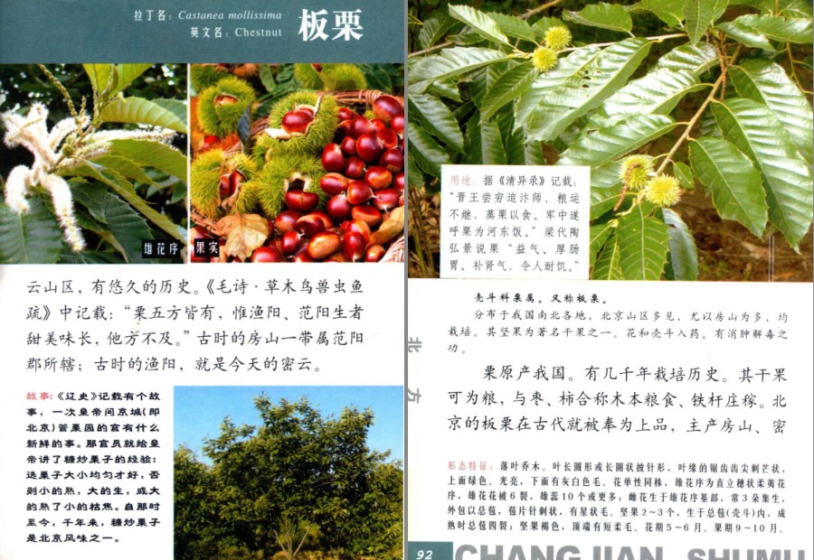 QQ截图20230704160839.png