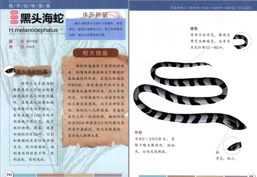 QQ截图20230730153554.png