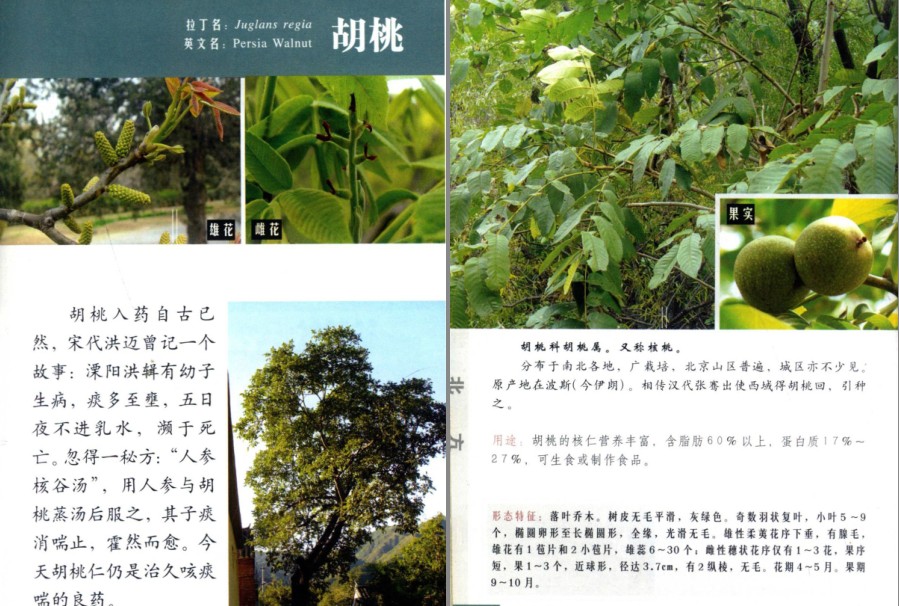 QQ截图20230704160807.png