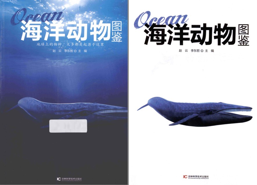 QQ截图20230730153424.png