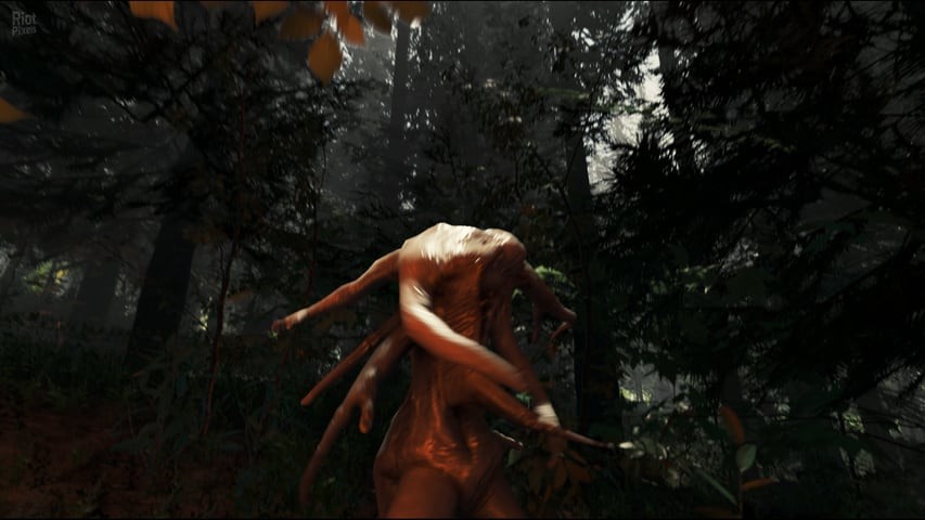 1622302574_s2.jpg