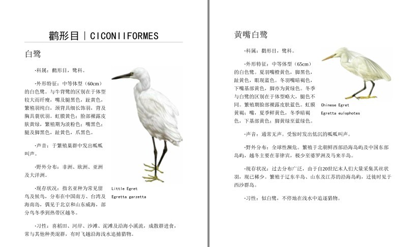 QQ截图20230710090412.png