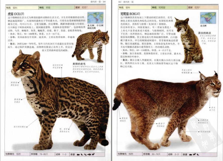 QQ截图20230607061235.png