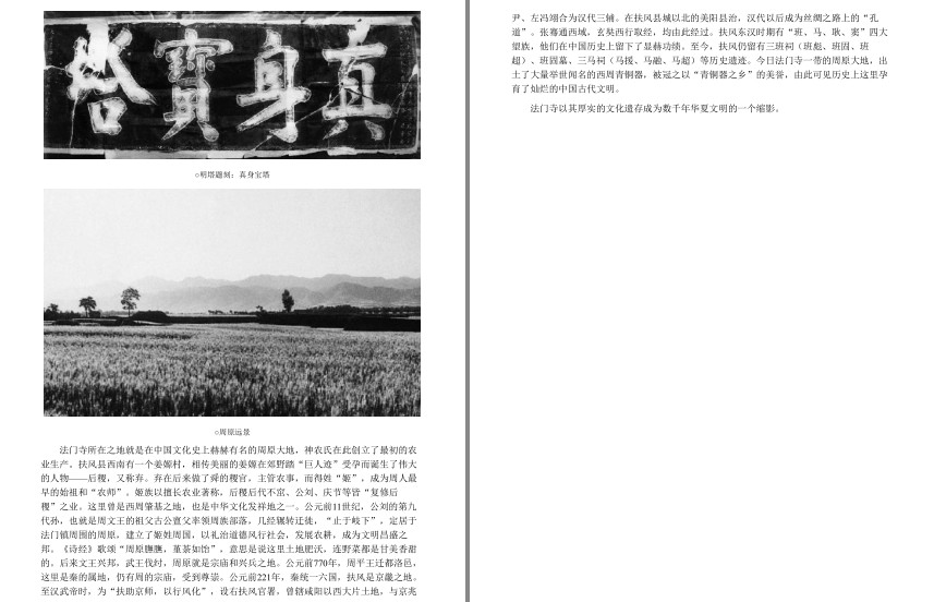 QQ截图20230801072440.png