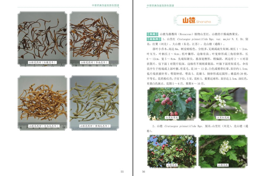 QQ截图20231218221343.png