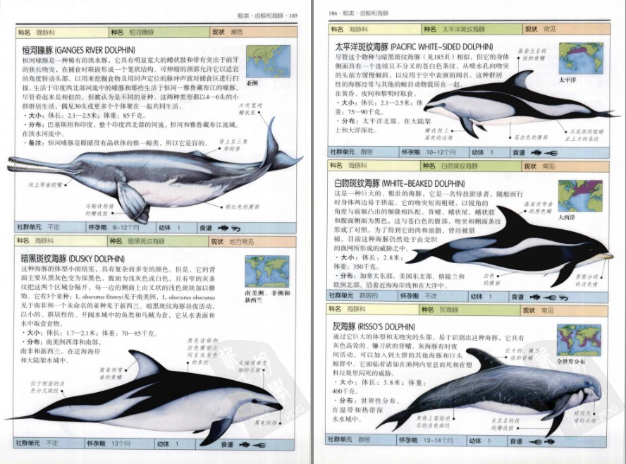 QQ截图20230607061145.png