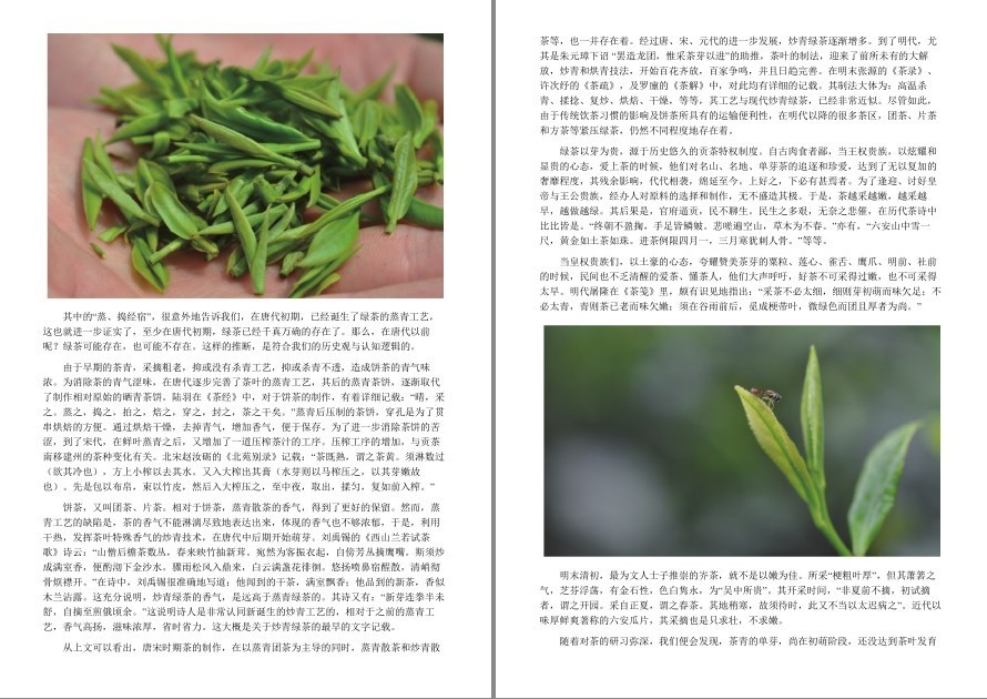 QQ截图20220919120257.png