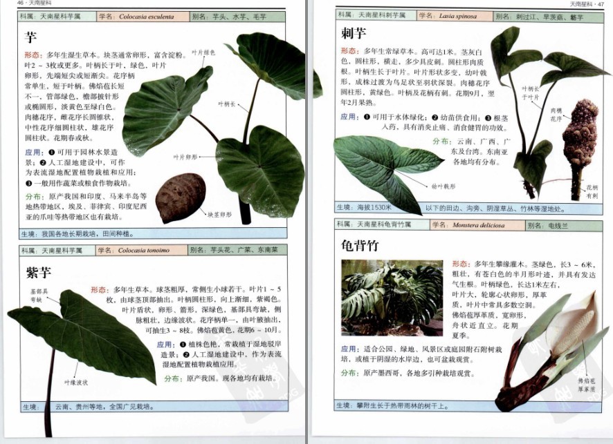 QQ截图20230604072404.png