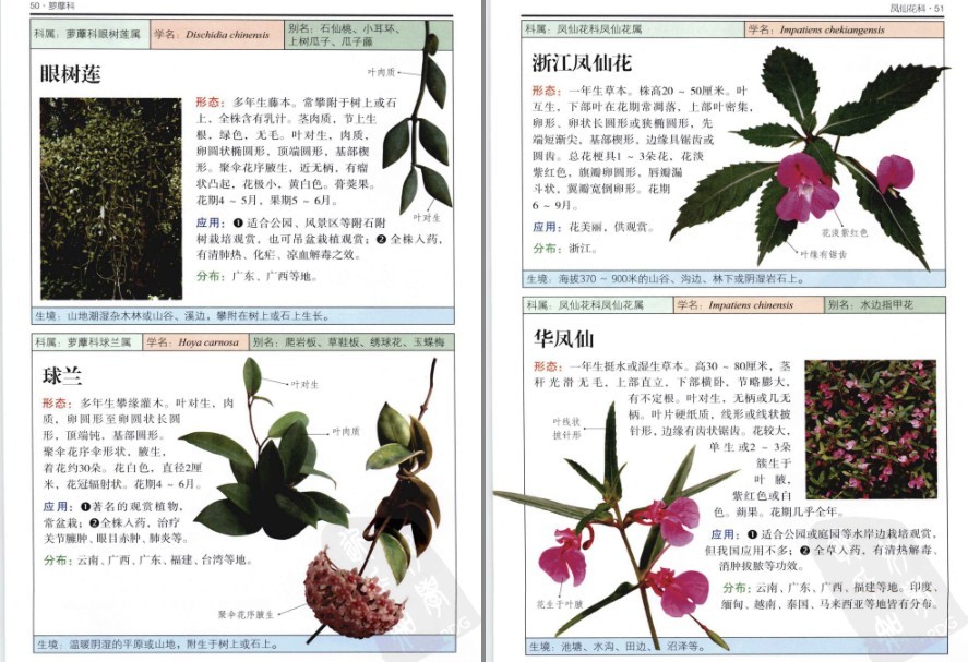 QQ截图20230604072417.png