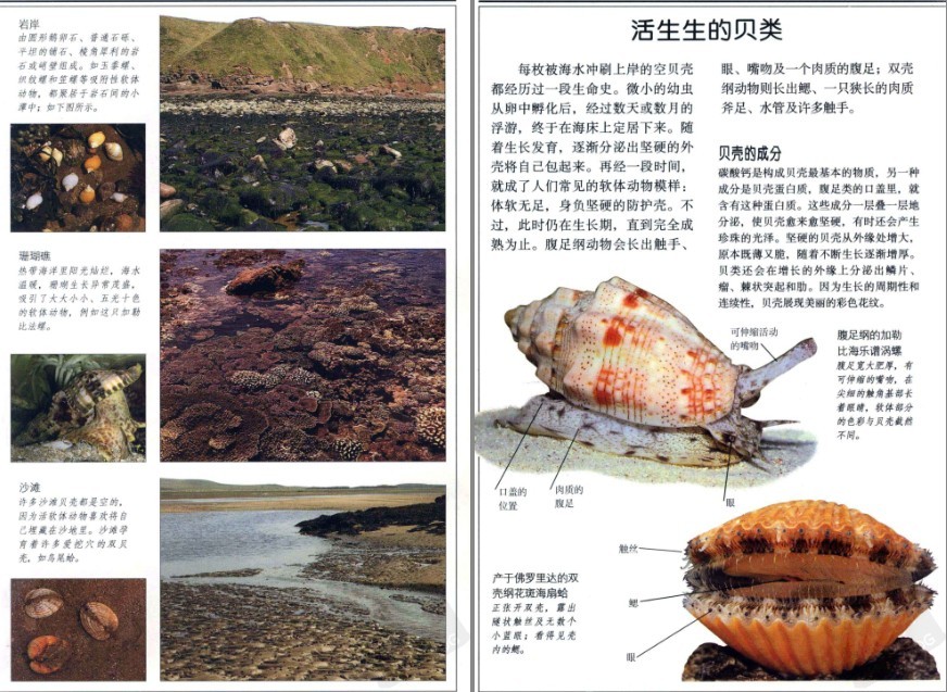 QQ截图20230604070556.png