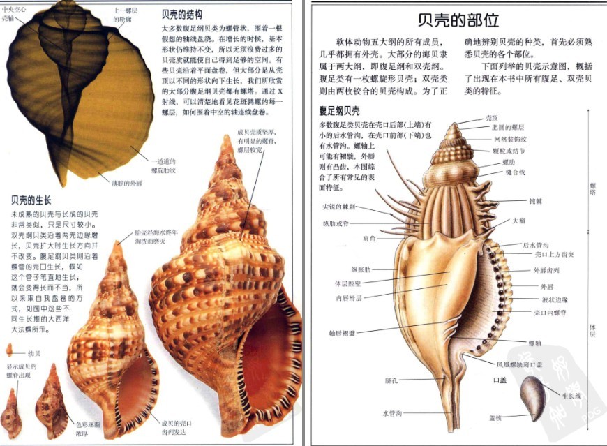 QQ截图20230604070604.png
