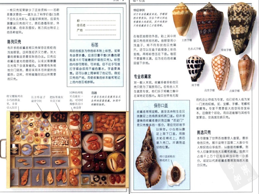 QQ截图20230604070546.png
