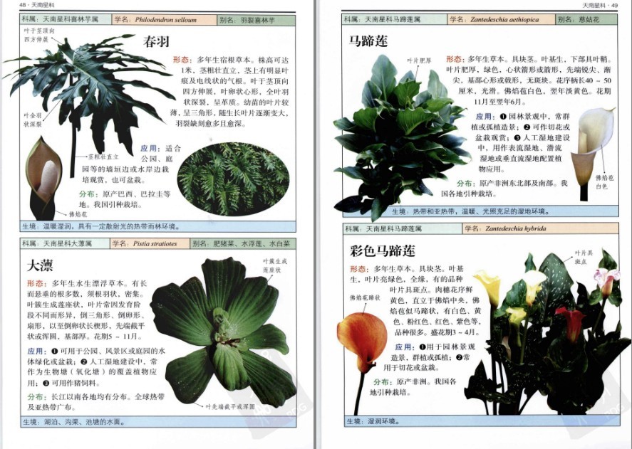 QQ截图20230604072411.png
