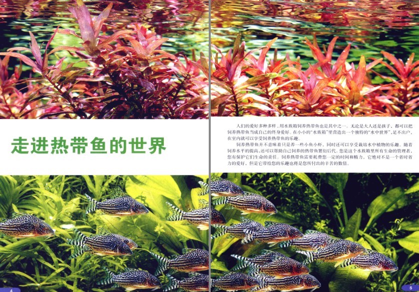 QQ截图20230725084708.png