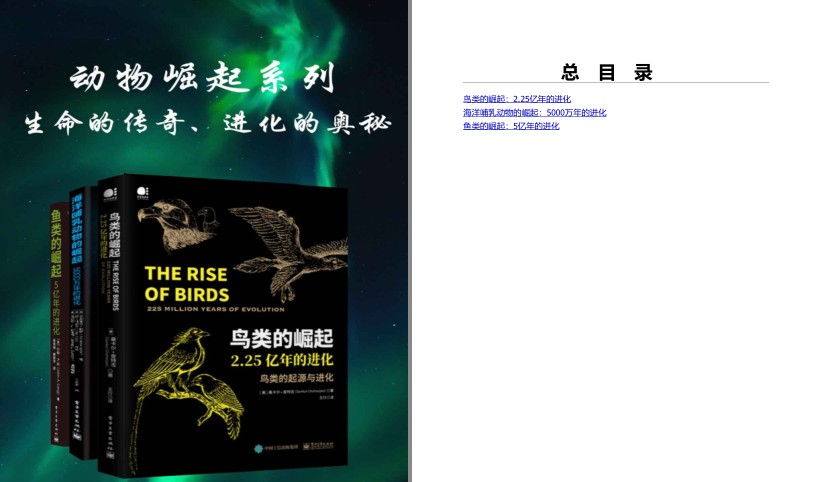 QQ截图20240501072329.png