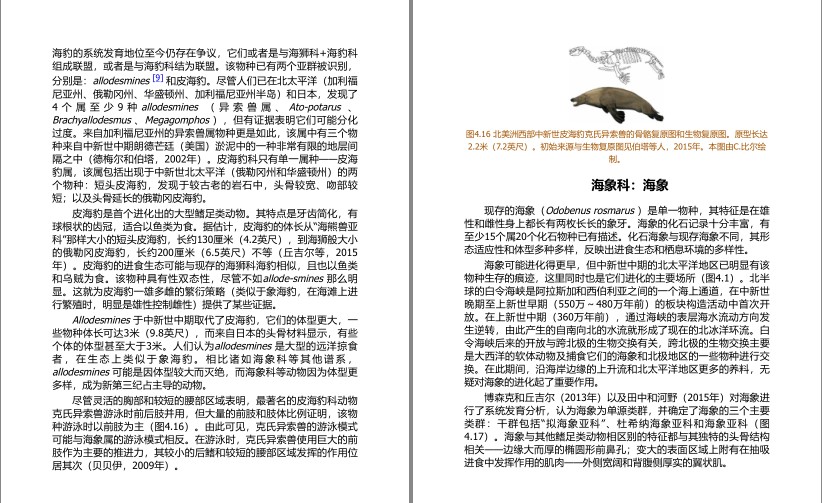QQ截图20240501072521.png