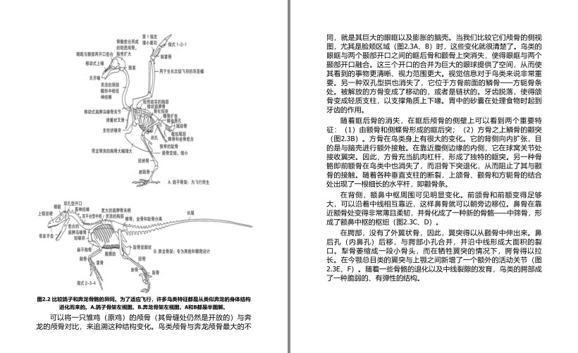 QQ截图20240501072345.png
